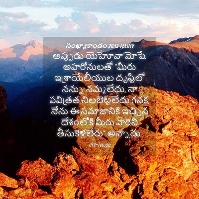 Picture 04 - సంఖ్యాకాండం 20:12 TELIRV - అప్పుడు యెహోవా - Bible Verse Picture