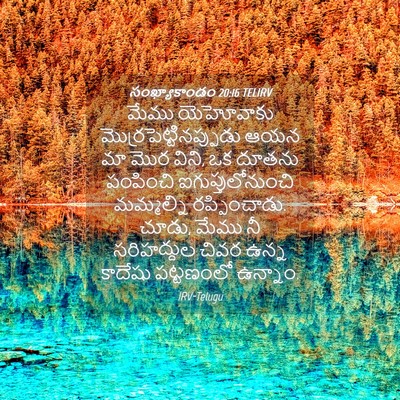 Picture 04 - సంఖ్యాకాండం 20:16 TELIRV - మేము యెహోవాకు - Bible Verse Picture