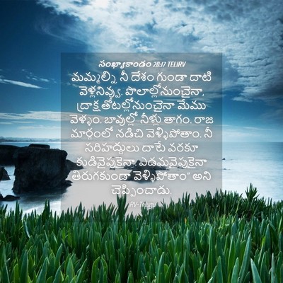 Picture 04 - సంఖ్యాకాండం 20:17 TELIRV - మమ్మల్ని నీ దేశం - Bible Verse Picture