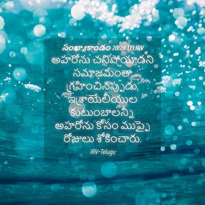 Picture 04 - సంఖ్యాకాండం 20:29 TELIRV - అహరోను చనిపోయాడని - Bible Verse Picture