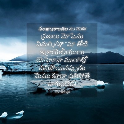 Picture 04 - సంఖ్యాకాండం 20:3 TELIRV - ప్రజలు మోషేను - Bible Verse Picture