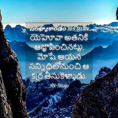 Picture 04 - సంఖ్యాకాండం 20:9 TELIRV - యెహోవా అతనికి - Bible Verse Picture