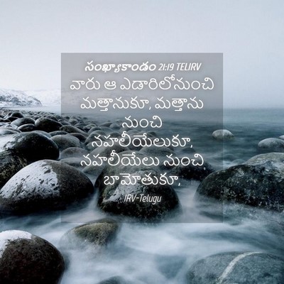 Picture 04 - సంఖ్యాకాండం 21:19 TELIRV - వారు ఆ - Bible Verse Picture
