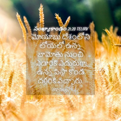 Picture 04 - సంఖ్యాకాండం 21:20 TELIRV - మోయాబు దేశంలోని - Bible Verse Picture