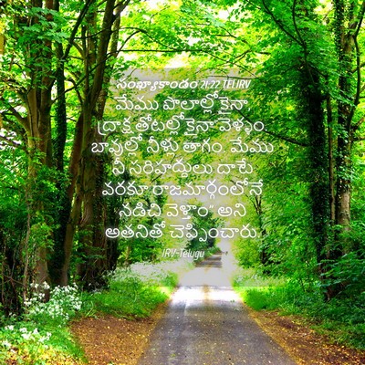 Picture 04 - సంఖ్యాకాండం 21:22 TELIRV - మేము - Bible Verse Picture