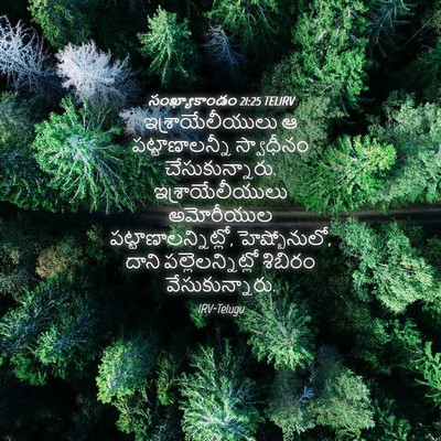 Picture 04 - సంఖ్యాకాండం 21:25 TELIRV - ఇశ్రాయేలీయులు ఆ - Bible Verse Picture