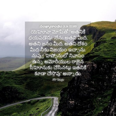 Picture 04 - సంఖ్యాకాండం 21:34 TELIRV - యెహోవా మోషేతో - Bible Verse Picture