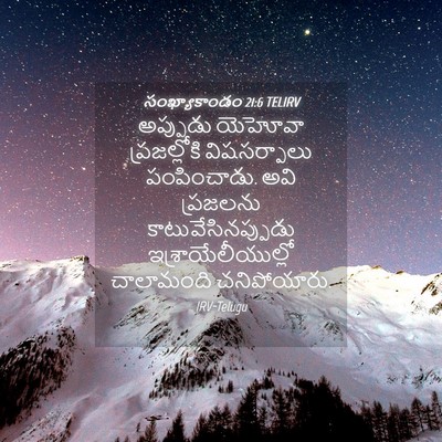 Picture 04 - సంఖ్యాకాండం 21:6 TELIRV - అప్పుడు యెహోవా - Bible Verse Picture