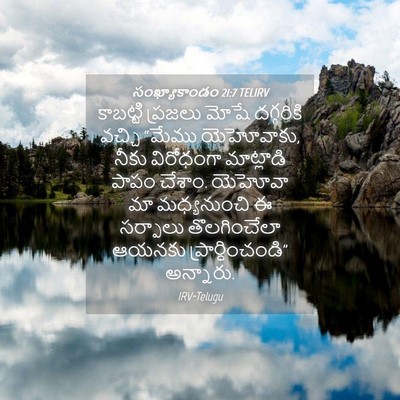 Picture 04 - సంఖ్యాకాండం 21:7 TELIRV - కాబట్టి ప్రజలు - Bible Verse Picture