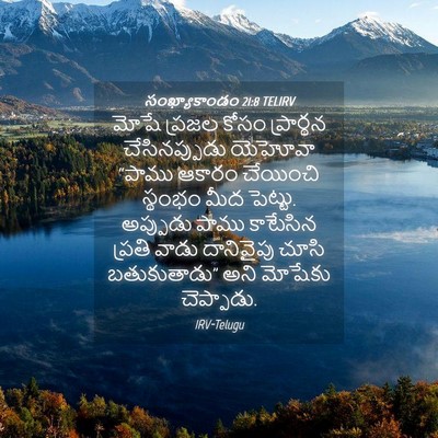 Picture 04 - సంఖ్యాకాండం 21:8 TELIRV - మోషే ప్రజల కోసం - Bible Verse Picture
