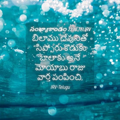 Picture 04 - సంఖ్యాకాండం 22:10 TELIRV - బిలాము దేవునితో - Bible Verse Picture
