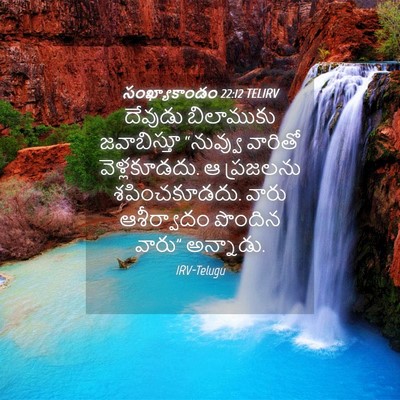 Picture 04 - సంఖ్యాకాండం 22:12 TELIRV - దేవుడు బిలాముకు - Bible Verse Picture