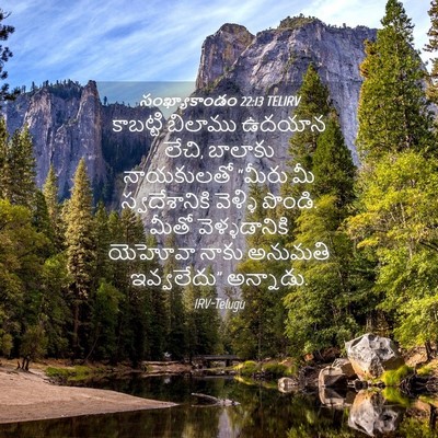 Picture 04 - సంఖ్యాకాండం 22:13 TELIRV - కాబట్టి బిలాము - Bible Verse Picture
