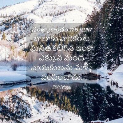 Picture 04 - సంఖ్యాకాండం 22:15 TELIRV - బాలాకు వారికంటే - Bible Verse Picture