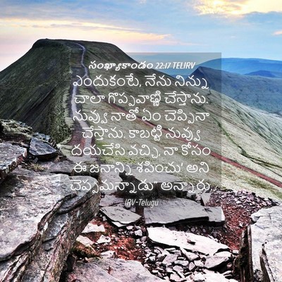 Picture 04 - సంఖ్యాకాండం 22:17 TELIRV - ఎందుకంటే, నేను - Bible Verse Picture