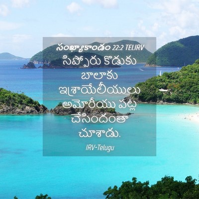 Picture 04 - సంఖ్యాకాండం 22:2 TELIRV - సిప్పోరు కొడుకు - Bible Verse Picture