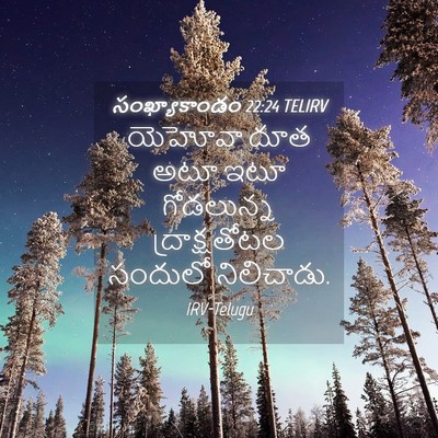 Picture 04 - సంఖ్యాకాండం 22:24 TELIRV - యెహోవా దూత అటూ ఇటూ - Bible Verse Picture