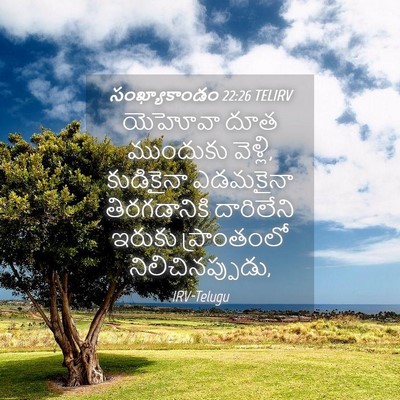 Picture 04 - సంఖ్యాకాండం 22:26 TELIRV - యెహోవా దూత - Bible Verse Picture