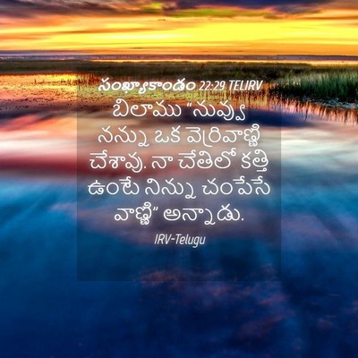 Picture 04 - సంఖ్యాకాండం 22:29 TELIRV - బిలాము “నువ్వు - Bible Verse Picture
