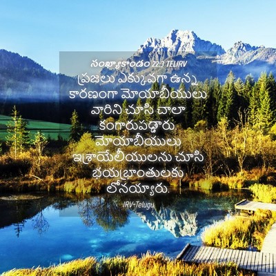 Picture 04 - సంఖ్యాకాండం 22:3 TELIRV - ప్రజలు ఎక్కువగా - Bible Verse Picture