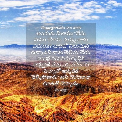 Picture 04 - సంఖ్యాకాండం 22:34 TELIRV - అందుకు బిలాము - Bible Verse Picture