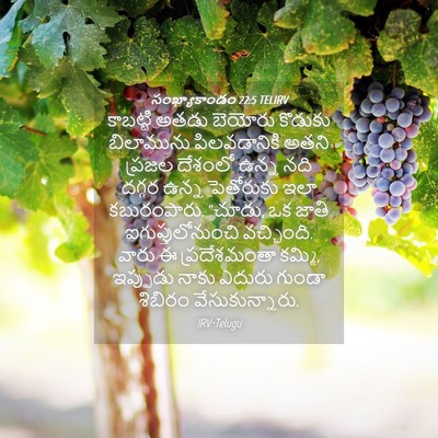 Picture 04 - సంఖ్యాకాండం 22:5 TELIRV - కాబట్టి అతడు - Bible Verse Picture