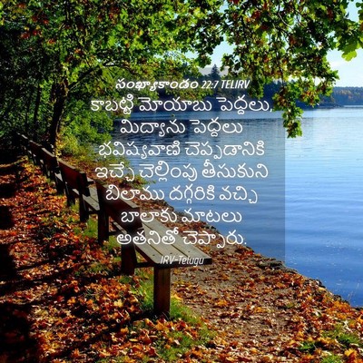 Picture 04 - సంఖ్యాకాండం 22:7 TELIRV - కాబట్టి మోయాబు - Bible Verse Picture