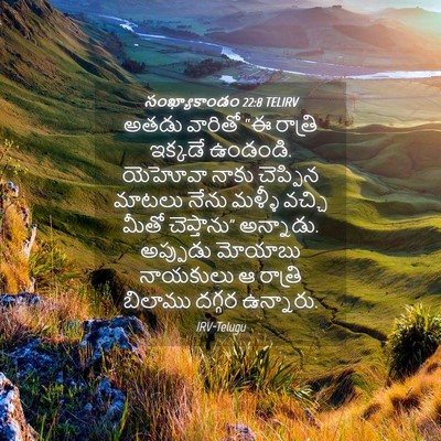 Picture 04 - సంఖ్యాకాండం 22:8 TELIRV - అతడు వారితో “ఈ - Bible Verse Picture