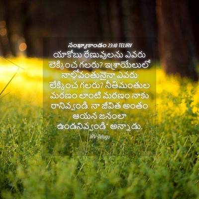 Picture 04 - సంఖ్యాకాండం 23:10 TELIRV - యాకోబు రేణువులను - Bible Verse Picture