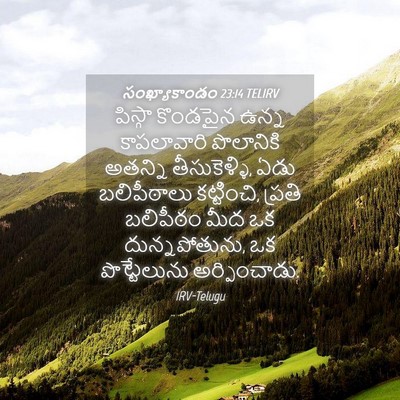 Picture 04 - సంఖ్యాకాండం 23:14 TELIRV - పిస్గా కొండపైన - Bible Verse Picture