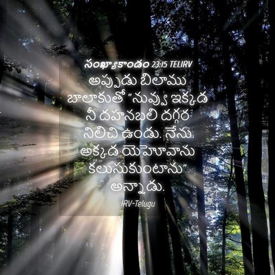 Picture 04 - సంఖ్యాకాండం 23:15 TELIRV - అప్పుడు బిలాము - Bible Verse Picture