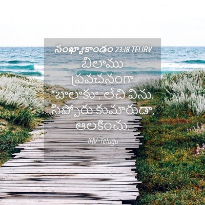 Picture 04 - సంఖ్యాకాండం 23:18 TELIRV - బిలాము ప్రవచనంగా - Bible Verse Picture