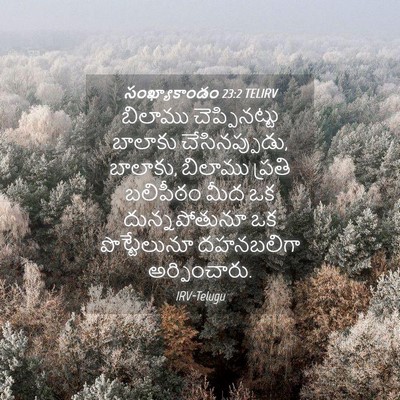 Picture 04 - సంఖ్యాకాండం 23:2 TELIRV - బిలాము - Bible Verse Picture