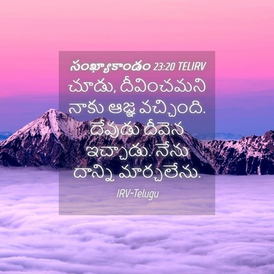 Picture 04 - సంఖ్యాకాండం 23:20 TELIRV - చూడు, దీవించమని - Bible Verse Picture