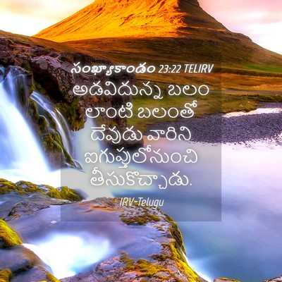 Picture 04 - సంఖ్యాకాండం 23:22 TELIRV - అడవిదున్న బలం - Bible Verse Picture