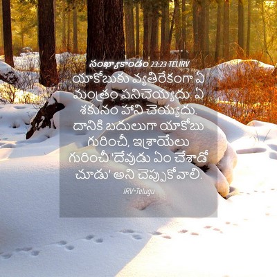 Picture 04 - సంఖ్యాకాండం 23:23 TELIRV - యాకోబుకు - Bible Verse Picture