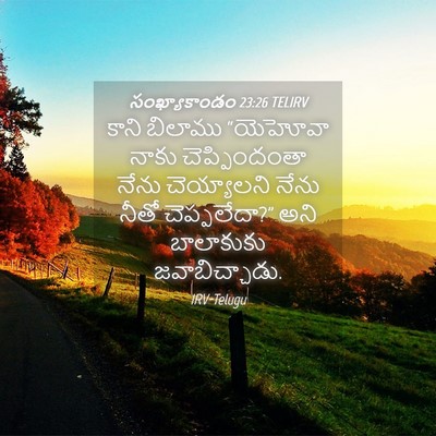 Picture 04 - సంఖ్యాకాండం 23:26 TELIRV - కాని బిలాము - Bible Verse Picture