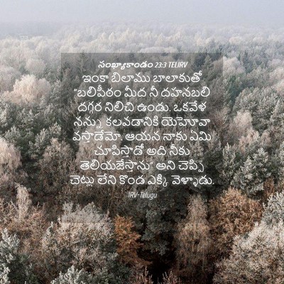 Picture 04 - సంఖ్యాకాండం 23:3 TELIRV - ఇంకా బిలాము - Bible Verse Picture