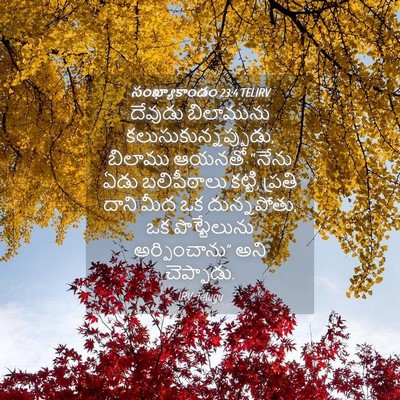 Picture 04 - సంఖ్యాకాండం 23:4 TELIRV - దేవుడు బిలామును - Bible Verse Picture