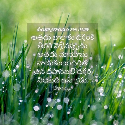 Picture 04 - సంఖ్యాకాండం 23:6 TELIRV - అతడు బాలాకు - Bible Verse Picture