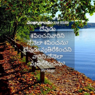 Picture 04 - సంఖ్యాకాండం 23:8 TELIRV - దేవుడు - Bible Verse Picture
