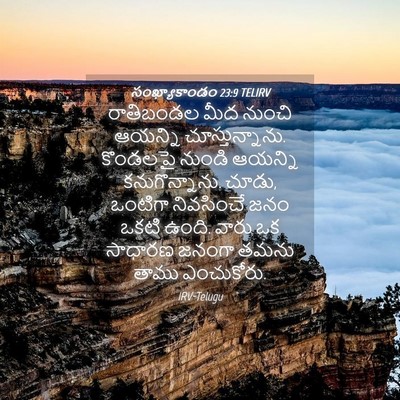 Picture 04 - సంఖ్యాకాండం 23:9 TELIRV - రాతిబండల మీద - Bible Verse Picture