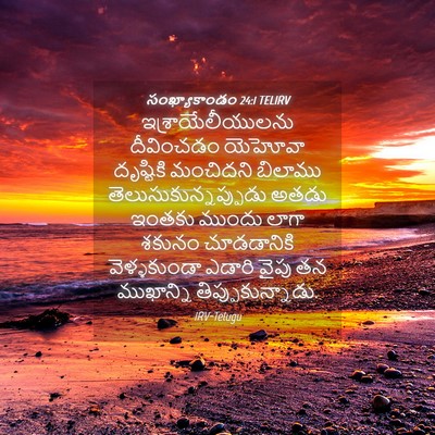 Picture 04 - సంఖ్యాకాండం 24:1 TELIRV - ఇశ్రాయేలీయులను - Bible Verse Picture
