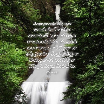 Picture 04 - సంఖ్యాకాండం 24:12 TELIRV - అందుకు బిలాము - Bible Verse Picture