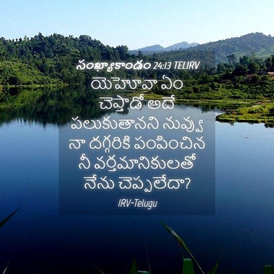 Picture 04 - సంఖ్యాకాండం 24:13 TELIRV - యెహోవా ఏం - Bible Verse Picture