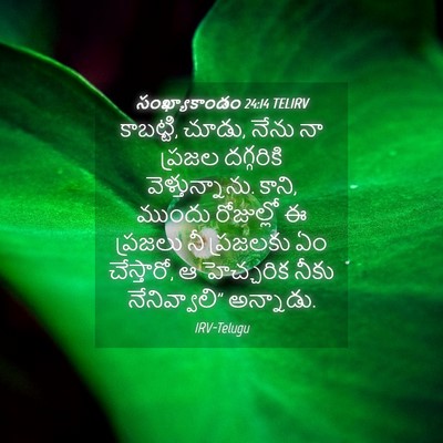Picture 04 - సంఖ్యాకాండం 24:14 TELIRV - కాబట్టి, చూడు, నేను - Bible Verse Picture