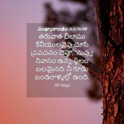 Picture 04 - సంఖ్యాకాండం 24:21 TELIRV - తరువాత బిలాము - Bible Verse Picture