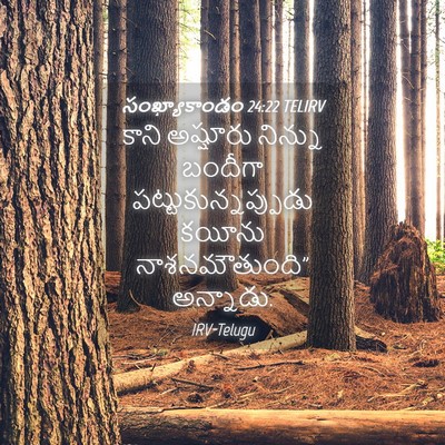Picture 04 - సంఖ్యాకాండం 24:22 TELIRV - కాని అష్షూరు - Bible Verse Picture