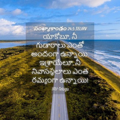 Picture 04 - సంఖ్యాకాండం 24:5 TELIRV - యాకోబూ, నీ - Bible Verse Picture