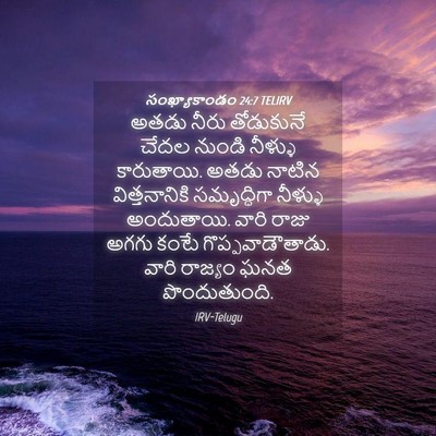 Picture 04 - సంఖ్యాకాండం 24:7 TELIRV - అతడు నీరు - Bible Verse Picture